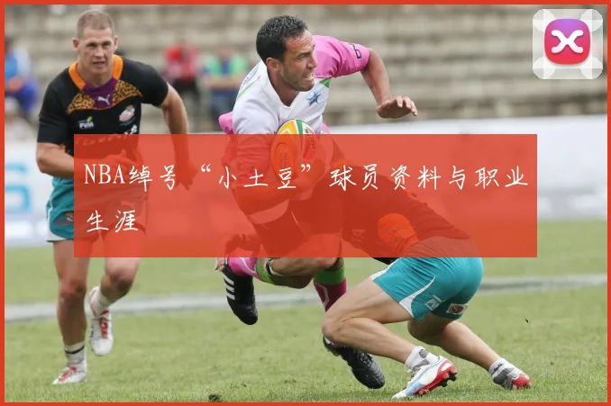 NBA绰号“小土豆”球员资料与职业生涯