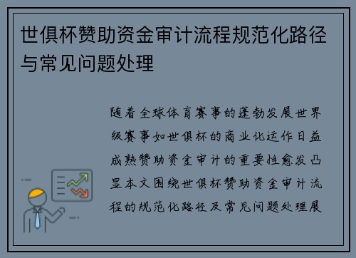 世俱杯赞助资金审计流程规范化路径与常见问题处理